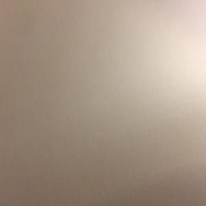 Meet your Posher, Maddie